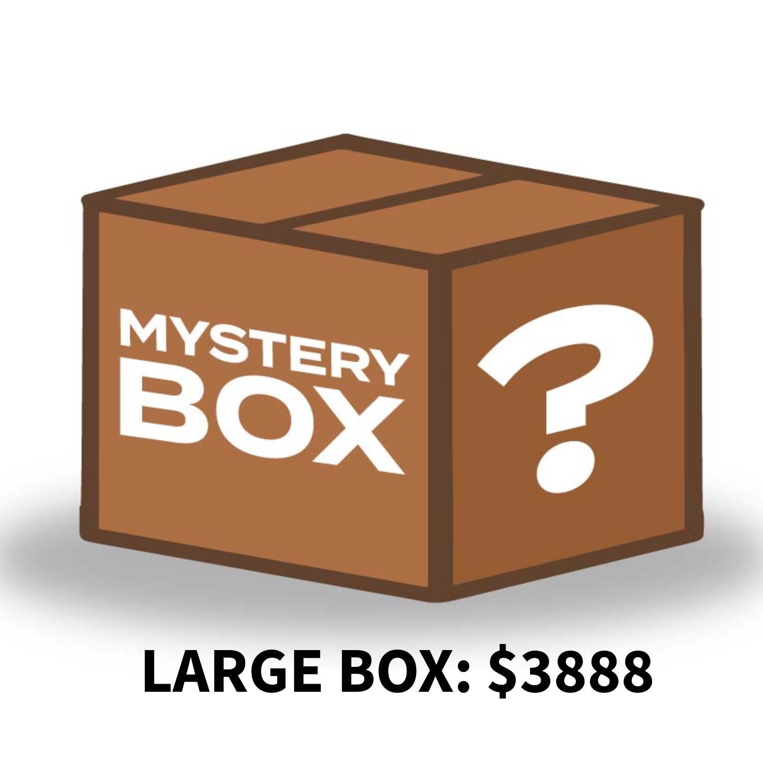 LARGE MYSTERY BOX