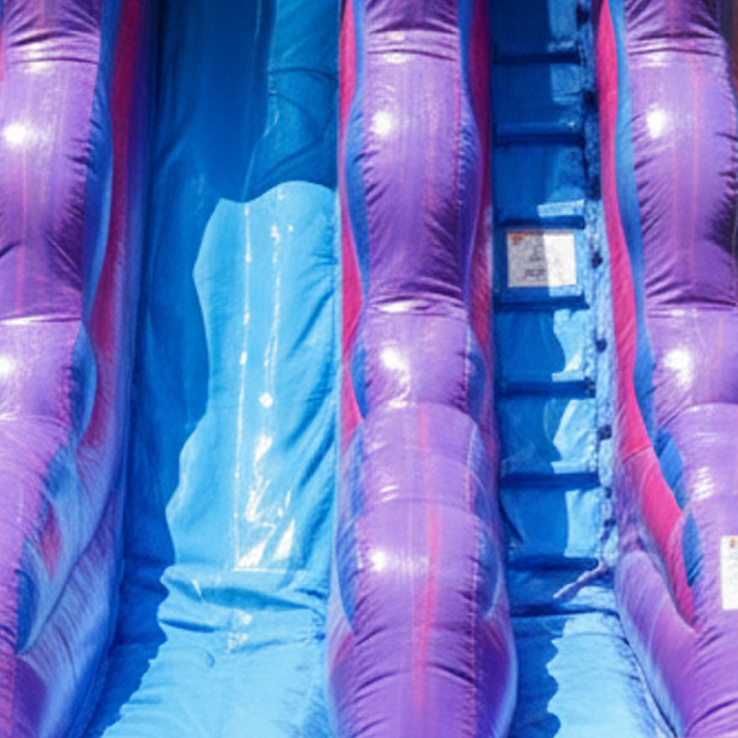PURPLISH 19 FT SLIDE