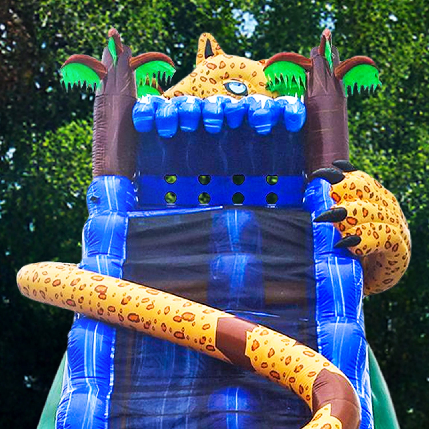 HIDDEN JAGUAR 25 FT SLIDE
