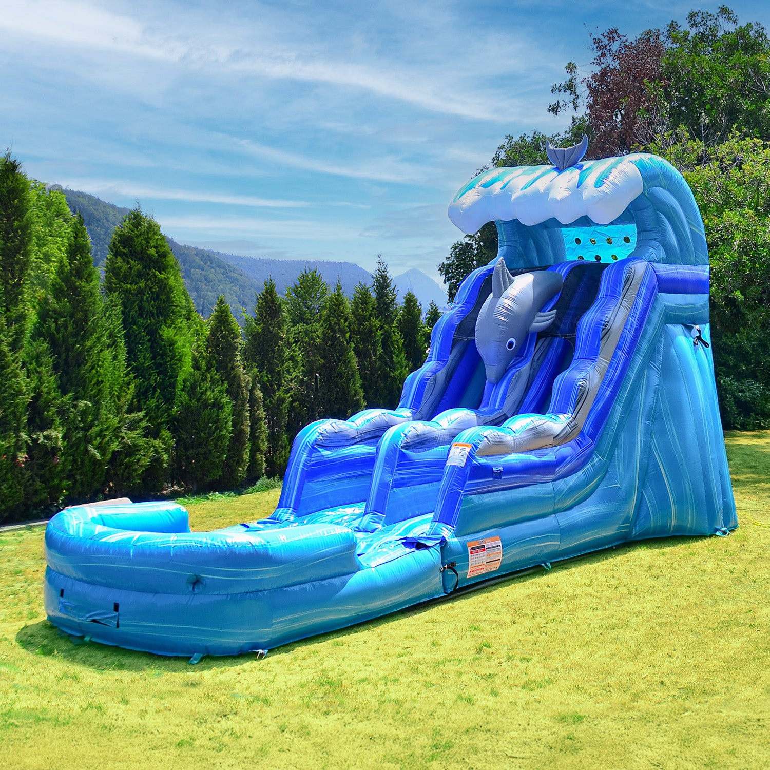 DOLPHINS 15 FT SLIDE
