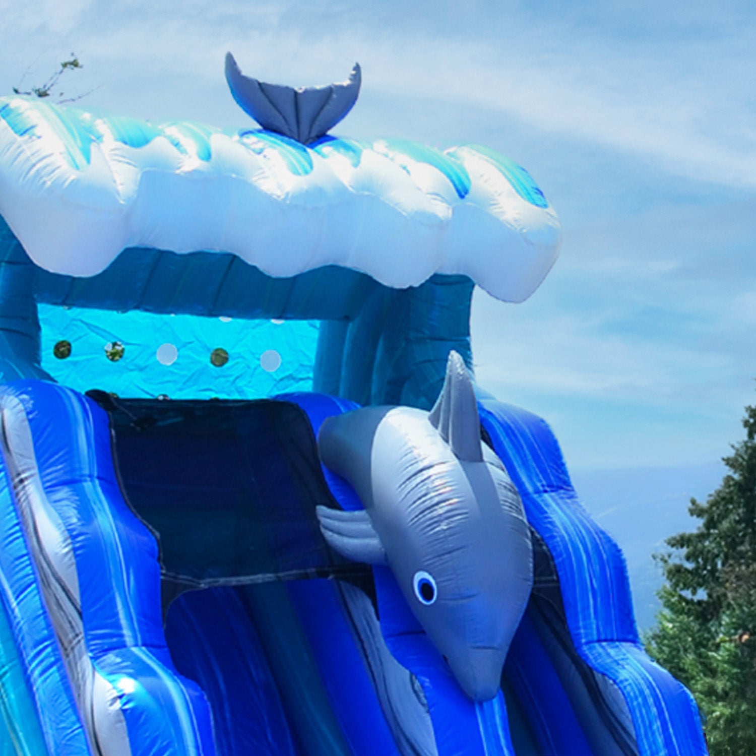 DOLPHINS 15 FT SLIDE