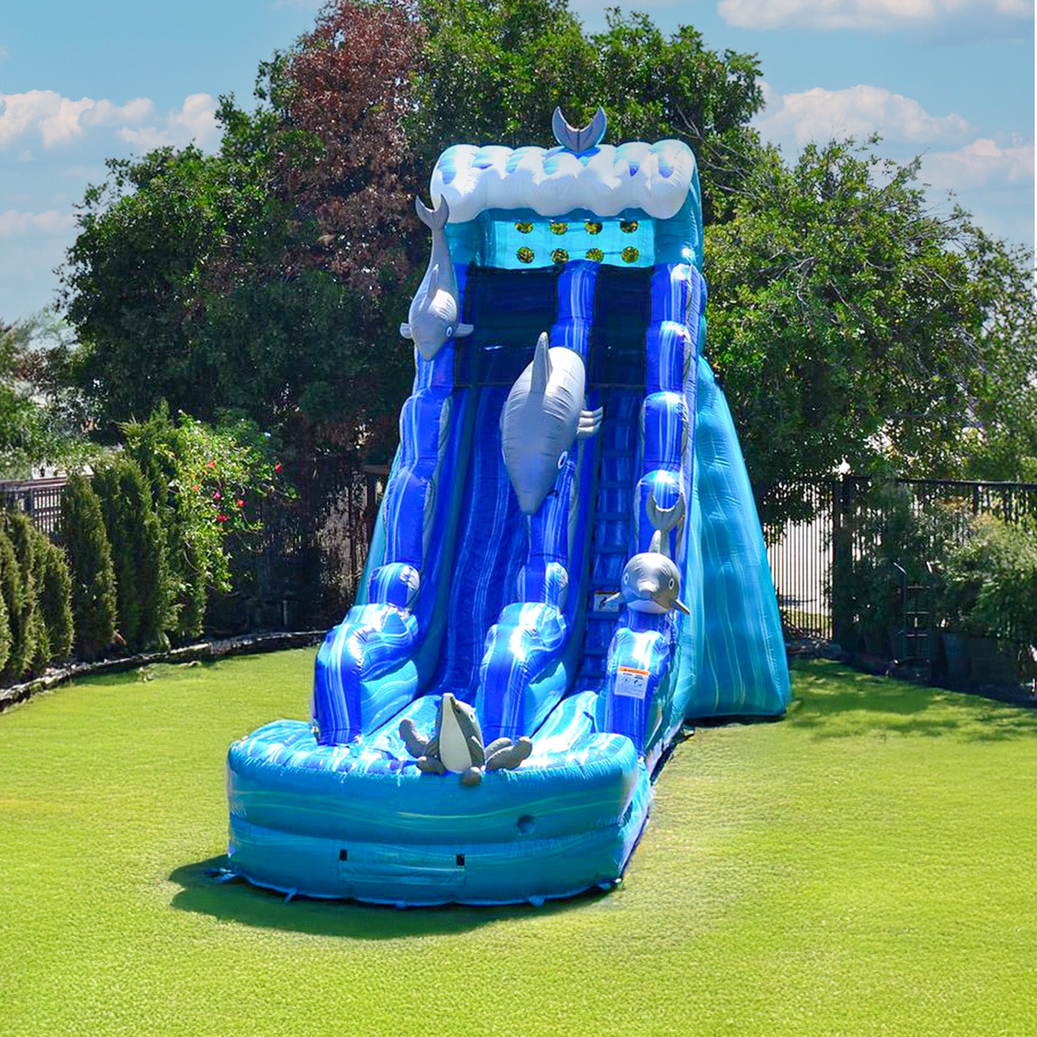 DOLPHINS 19 FT SLIDE