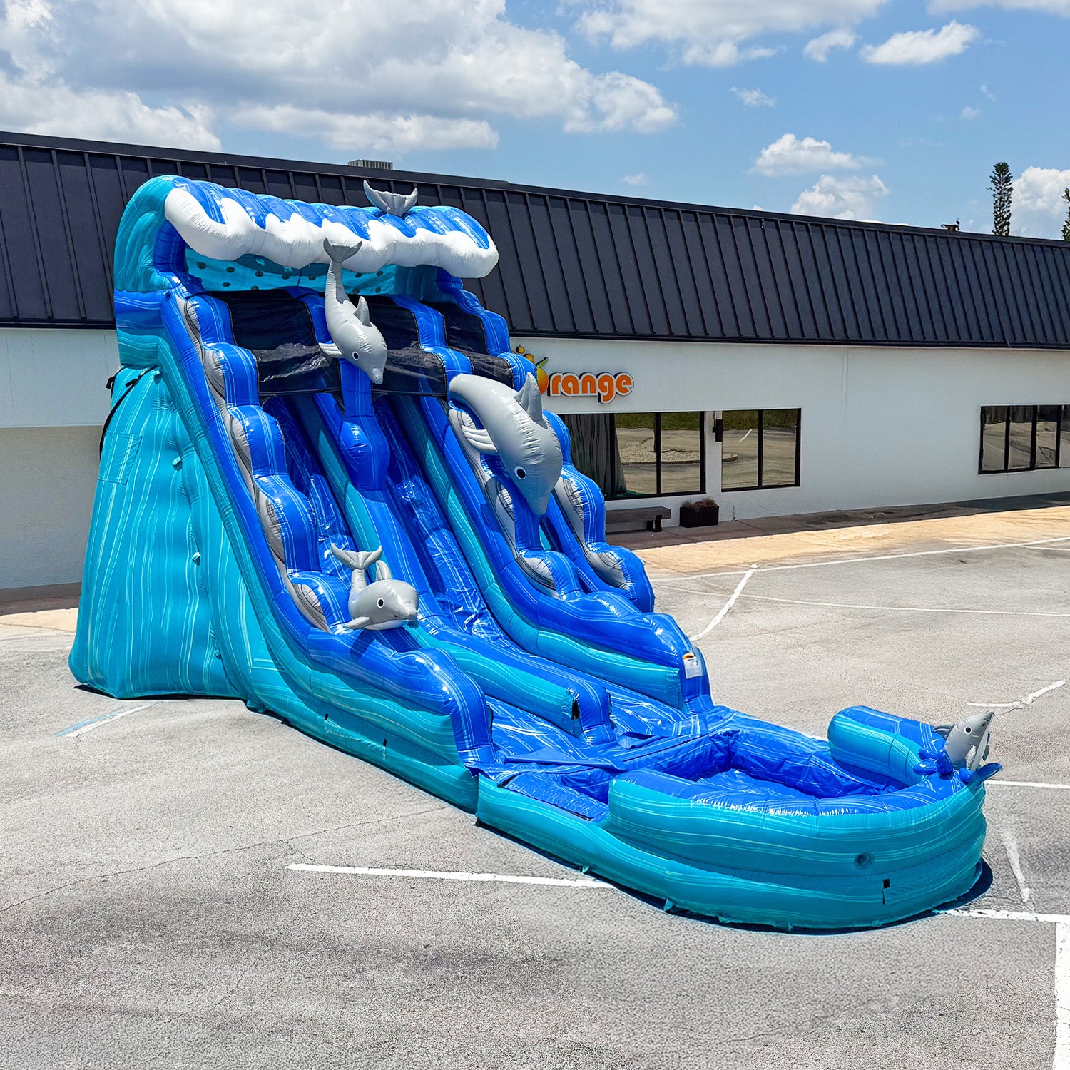 DOLPHIN 20 FT DUAL LANE SLIDE