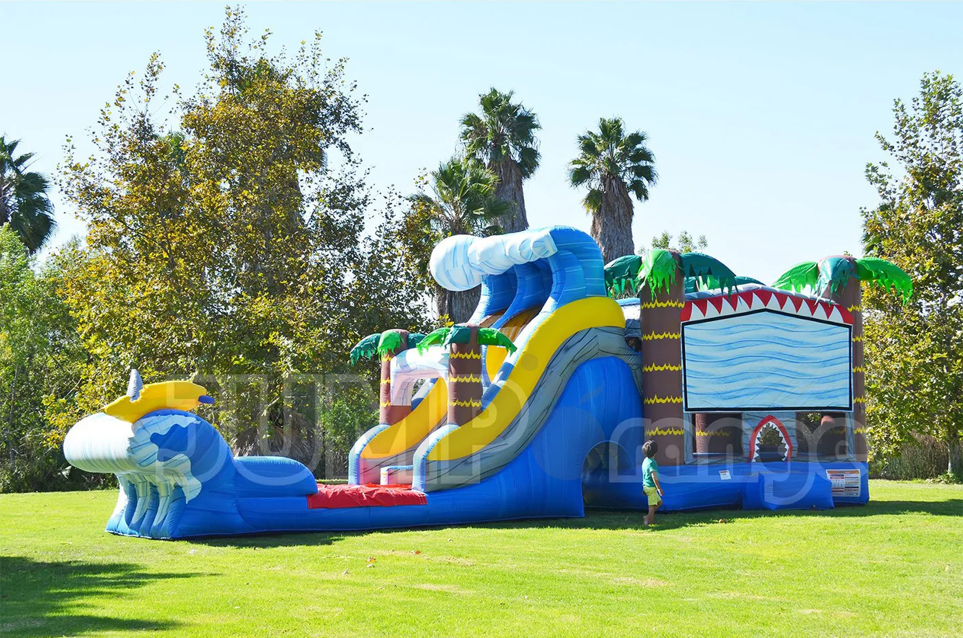 Exploring the Adventures of Shark Slip and Slide Combinations