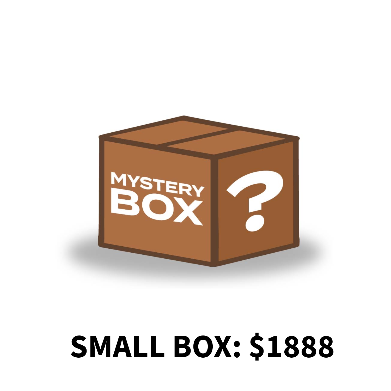 SMALL MYSTERY BOX