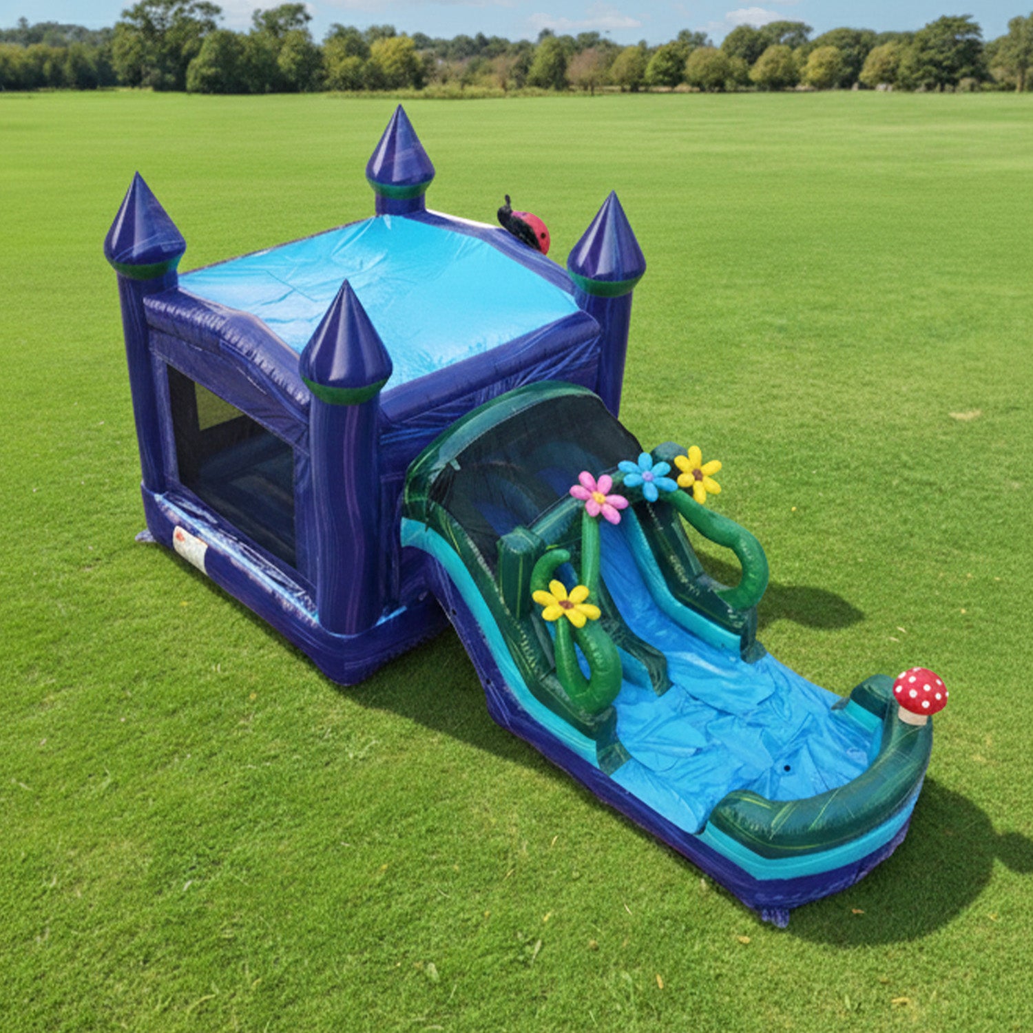 ENCHANTED FOREST DUAL LANE COMBO