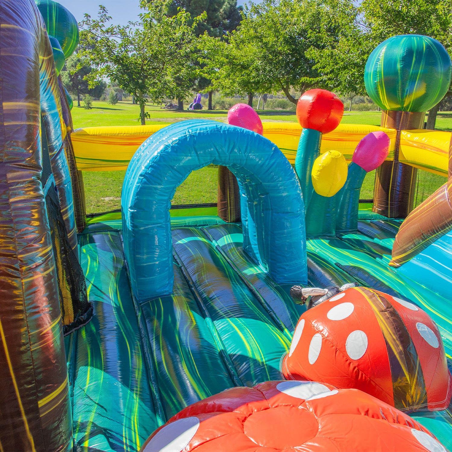 FOREST LAGOON WET DRY OBSTACLE