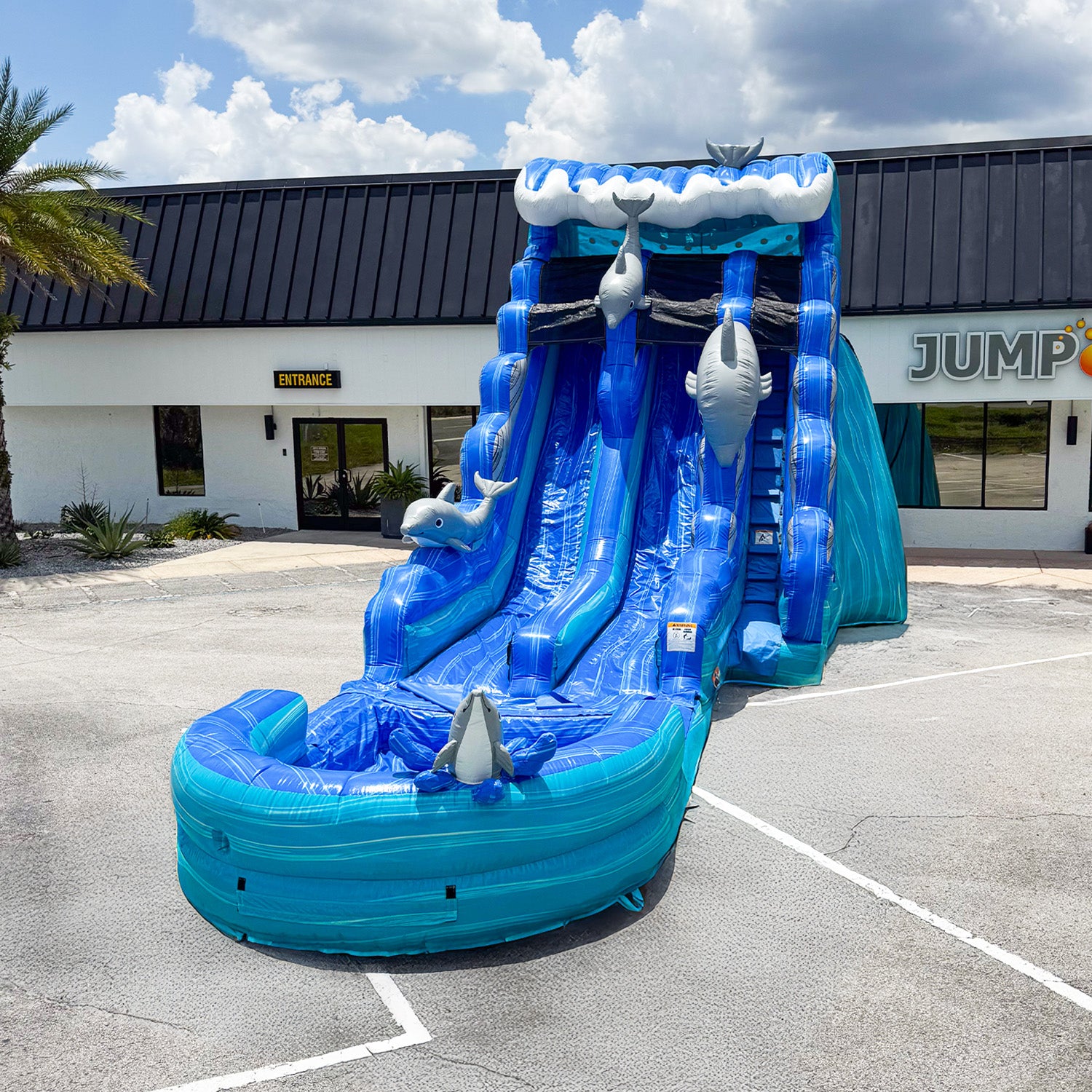 DOLPHIN 20 FT DUAL LANE SLIDE