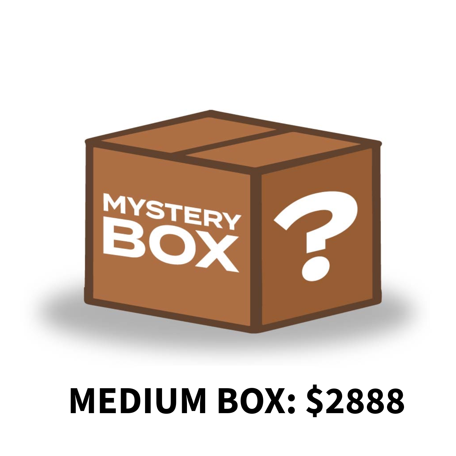 MEDIUM MYSTERY BOX